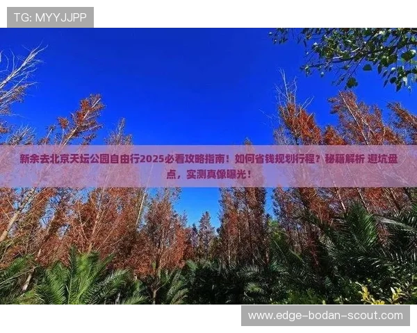 买球站彩票数字高频玩法防骗避坑指南