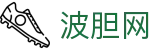 揭开球探波胆赔率的秘密：前沿概率评估技巧与赛况分析